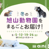 オンラインイベント『冬の旭山動物園をまるごとお届け！』