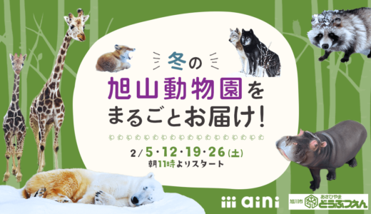 旭山動物園の今をお届けするオンラインイベント『冬の旭山動物園をまるごとお届け！』が2月5日(土)より開催！厳しい冬をたくましく生きる動物たちのリアルな姿に会える