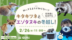 オンラインイベント『冬の旭山動物園をまるごとお届け！』-知ってるようで知らない？北海道に生息するキタキツネとエゾタヌキの冬越し！